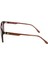L 6029S 210 53 Unisex Oval Kahverengi Kemik Güneş Gözlüğü 3