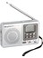 Go İthalat Skytech ST-194D 9 Band Dıgıtal Fm Radyo (2818) 1