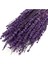 Şoklanmış Lavanta Demeti Natural Lavender Bundle Mor 40-50 cm 3