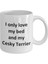 Komik Cesky Terrier Kupa - Love My Bed ve Cesky Terrier Köpek Kahve Fincanı - Ingilizce Kahve Kupa 2
