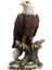 Wıse Kel Kartal BİBLO-WU76852AA 1