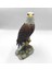 Wıse Kel Kartal BİBLO-WU76852AA 3