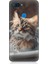 Xiaomi Mi 8 Lite Uyumlu Banyo Yapan Kedi Desenli Silikon Kılıf 1