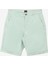 Regular Fit Yeşil Erkek Şort L231145303 Non Denim Şort 1