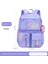 Kızlar Için Yeni Ilkokul Çantası, Degrade Renk, 13. Sınıf, Omurga Koruması, Yüksek Görünüm, Konfor, Basıncı Azaltma, Ultra Hafif, Büyük Kapasiteli Sırt Çantası (Yurt Dışından) 4