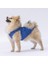 Denim Look Kedi Köpek Gömleği 3