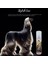 Stylish Kedi ve Köpekler Için Kolay Tüy Tarama Spreyi 200ML 2