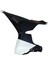 Ön Panel Sol Nebula Sıyah Cf Moto Sr 450 Orijinal 1