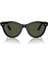 2241 901/31 54 Unisex Güneş Gözlüğü Unisex Güneş Gözlüğü 5