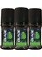 Green Dream Erkek Roll On 3X50 ml 1