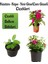 Küstüm Çiçeği 1 Adet ( 8/10CM) +Fuşya Rengi Cam Güzeli 10-15CM+KÜPE ÇIÇEĞI(10-20CM) 1