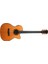 DG-15FOOMCES Diana Serisi Elektro Akustik Gitar 2