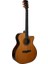 DG-15FOGACES Diana Elektro Akustik Gitar 1