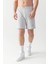 Essential Regular Fit Şort Gri 2