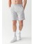 Essential Regular Fit Şort Gri 3