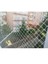 3 x 6 Metre Balkon Kuş Önleme Filesi Güvercin Önleme Ağı Balkon Kapatma Ağı 3