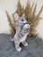 Kedi Polyester Biblo Model 1 3