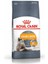 Hair & Skin Deri ve Tüy Sağlığı Için Kedi Maması 2 kg 1