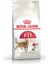 Fit 32 Yetişkin Kedi Maması 2 kg 4