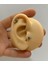 Cerrahi Çelik Arı Tragus Helix Kıkırdak Kulak Memesi Uyumlu Piercing Küpe (1 Adet ) 2