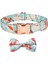 ‘’ Dream Bow Tie ‘’ Papyonlu Boyun Tasması 1