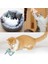 Adet/grup Sevimli Dinozor Peluş Kedi Oyuncak Timsah Pet Oyuncak Kanguru Hayvan Kedi Nane Oyuncaklar Kedi Çiğneme Oyuncağı (Yurt Dışından) 3
