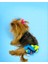 Blue Tufty Kemique's Secret Köpek Iç Çamaşırı Regl Külot Don 2