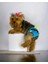 Blue Tufty Kemique's Secret Köpek Iç Çamaşırı Regl Külot Don 3