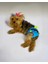 Blue Tufty Kemique's Secret Köpek Iç Çamaşırı Regl Külot Don 5