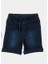 Kot Short 1