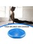 Mavi Stil Yoga Denge Topu Eğitimi Dengeli Yastık Fitness Masaj Topu Yetişkin Yastıklı Uygulama Ayakları Rehabilitasyon Kalın Yoga Topu (Yurt Dışından) 3