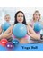 Kırmızı Stil Yeni 25CM Yoga Topu Egzersiz Jimnastik Fitness Pilates Topu Denge Egzersizi Spor Salonu Fitness Yoga Çekirdek Topu Kapalı Alan Eğitimi Yoga Topu (Yurt Dışından) 5