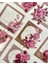 Vintage Çerçeveli Çiçek Fotoğraf Serisi Pembe Renk 20 Adet Şeffaf Pet Sticker / Su Geçirmez 3