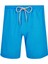 Erkek Deniz Havuz Şortu Kai S284 Turkuaz 1