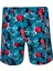 Erkek Deniz Havuz Şortu Desenli Lauren S251 2