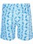 Erkek Deniz Havuz Şortu Desenli Ross S260 Mavi 2