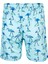 Erkek Deniz Havuz Şortu Desenli Percy S250 Mint 2