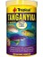 Tanganyika Flakes Tanganyika Cichlid Balıkları Için Pul Balık Yemi 1000 ml 200 gr - 77216 1