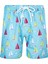 Erkek Deniz Havuz Şortu Desenli Lupin S255 Turkuaz 1