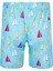Erkek Deniz Havuz Şortu Desenli Lupin S255 Turkuaz 2