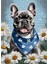 Ahşap Mdf Puzzle Yapboz Sevimli Pug Cinsi Köpek 500 Parça 50*70 cm 1