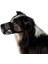 Köpek Ağızlığı, M-L, Siyah 1