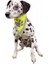 Köpek Bandanası S-M 29-42 Cm 3