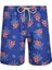 Erkek Deniz Havuz Şortu Desenli Even S273 Saks 1