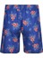 Erkek Deniz Havuz Şortu Desenli Even S273 Saks 2