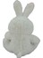 Neon Renkli Tavşan Peluş 30 cm 62232 4