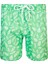 Erkek Deniz Havuz Şortu Desenli Ford S253 Yeşil 1