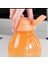2litre Şişe Suluk 3