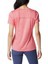 Alpine Chill Zero Kadın Kısa Kollu T-Shirt 2