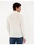 Erkek Ekru Slim Fit Yarım Balıkçı Yaka Yün Karışımlı Basic Triko Kazak 50270055-VR019 5